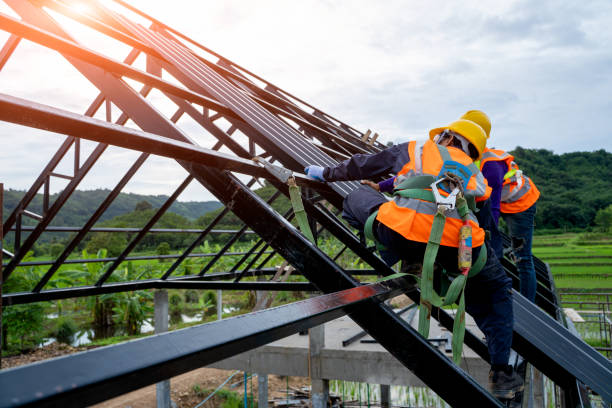 Best Best Roofing Contractors  in Auburn, IL