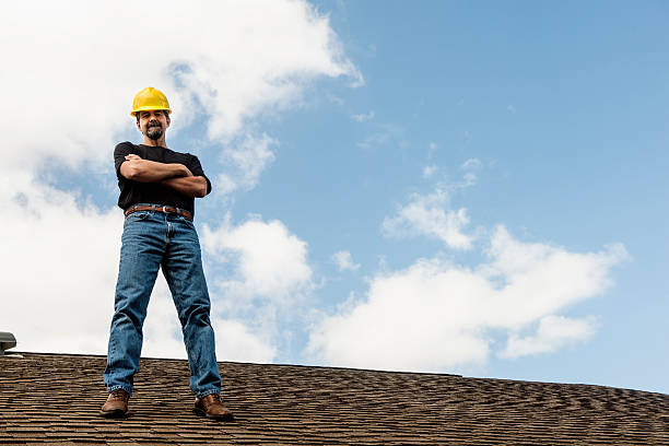 Best Metal Roofing Contractor  in Auburn, IL
